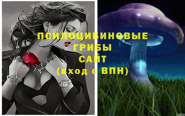 герыч Алзамай