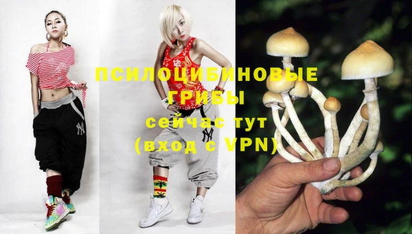 ALPHA PVP Чердынь